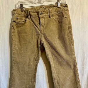 6P Ann Taylor LOFT beige corduroy jeans